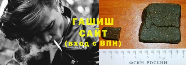 гашик Ладушкин