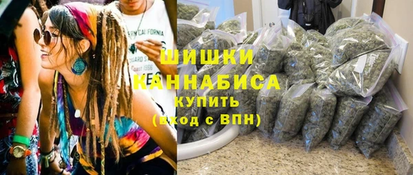 гашик Ладушкин