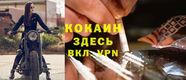 гашик Ладушкин