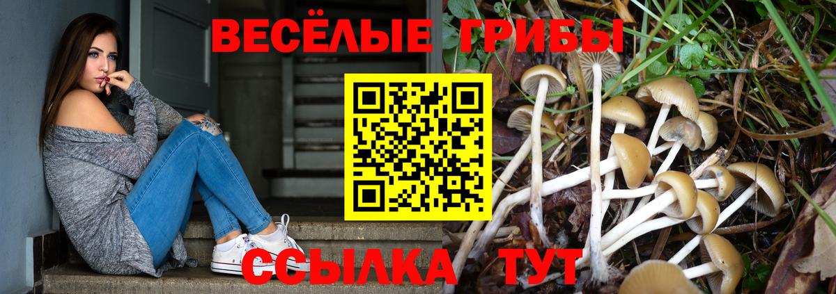 Галлюциногенные грибы GOLDEN TEACHER  Псилоцибиновые грибы мухоморы  Наро-Фоминск 