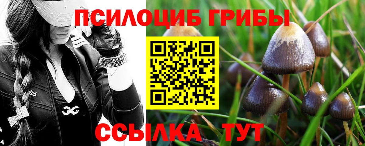 Псилоцибиновые грибы Cubensis  Галлюциногенные грибы MAGIC MUSHROOMS  Вход с VPN  Наро-Фоминск 
